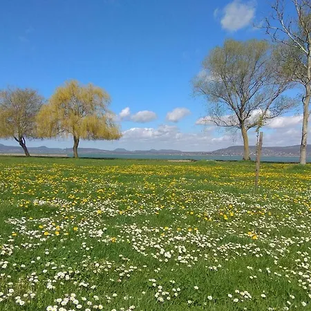 Kiera Balatonboglar